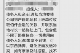 东明为什么选择专业追讨公司来处理您的债务纠纷？